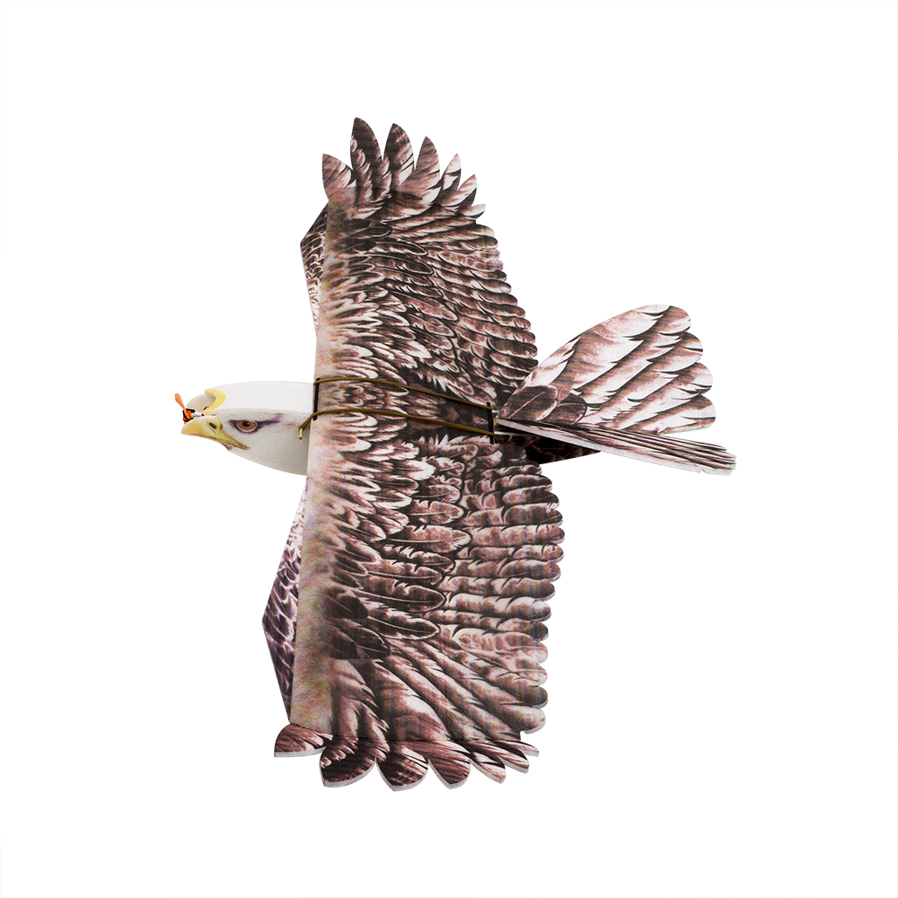 Rc Hobby Online - DW Hobby Eagle II EPP Avião