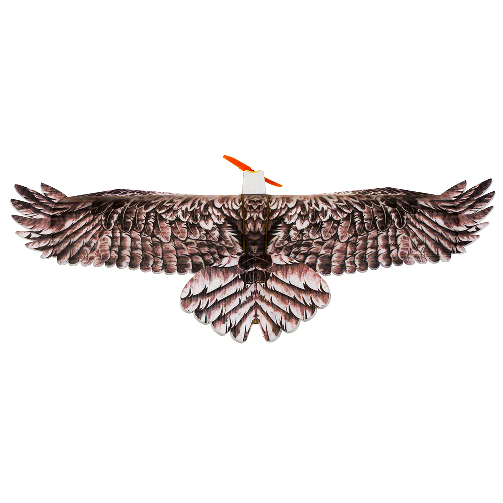 DW Hobby Eagle II EPP Avião RC - Rc Hobby Online avaliação e preço